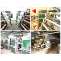 Auto Poultry Farm Machinery for Layers and Broilers
